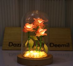 some flowers are in a glass dome with lights on the bottom and behind it is a sign that says dazza deeni