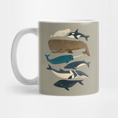 a coffee mug with different types of whales on it