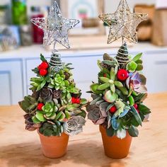 two small potted plants with christmas decorations on them sitting on a kitchen counter top