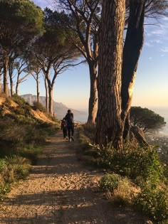 a man riding a bike down a dirt road next to tall trees on the side of a hill