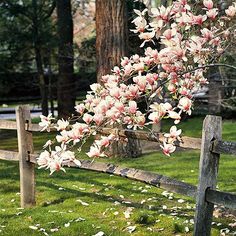 a wooden fence with pink flowers on it in the middle of a grassy area next to trees