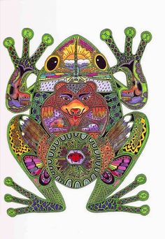 a drawing of a frog with colorful designs on it's body