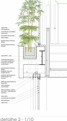 an architectural drawing shows the interior and exterior of a house with plants growing in it