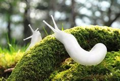 two white slug figurines sitting on top of green moss