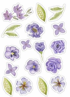 some purple flowers and green leaves on a white background with the words, stickers