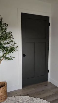 a black door in a white room next to a potted plant on the floor