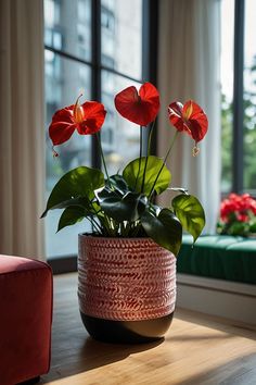 a potted plant sitting on top of a wooden table next to a red couch