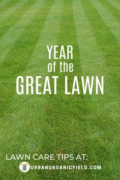 green lawn with the words year of the great lawn written in white on top and bottom