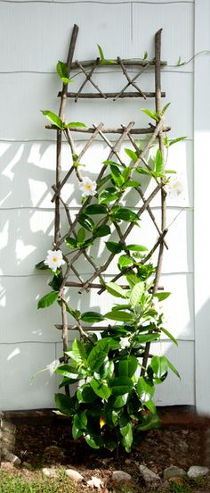 a trellis made out of branches and flowers