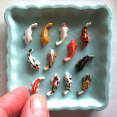 a hand is holding a small bowl with miniature fish in it and there are many different colors