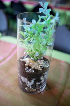 a glass vase filled with dirt and plants