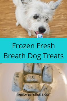 frozen fresh breath dog treats on a plate with the words, frozen fresh breath dog treats