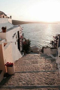 stairs leading up to the ocean with flowers growing on them