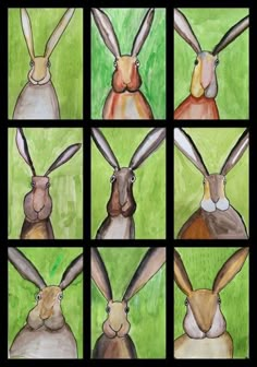 four pictures of rabbits with different faces