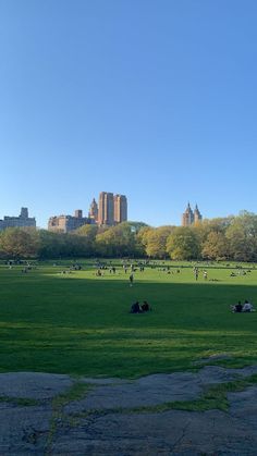 people are sitting on the grass in a large park with skyscrapers in the background