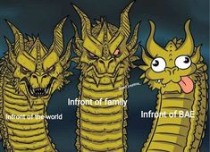 three yellow dragon like creatures with captions that say reddit, twitterr, instagram