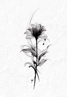 a black and white photo of a flower