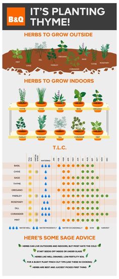 an info sheet describing the different types of plants and how they are grown in pots