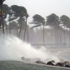 waves crashing on the beach and palm trees blowing in the wind