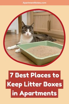 a cat laying on the floor in front of a litter box that says 7 best places to keep litter boxes in apartments