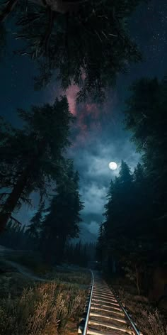 a train track in the middle of a forest under a night sky with stars and clouds