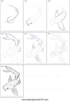 how to draw koi fish step by step