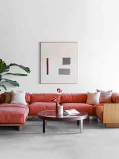 a living room filled with furniture and a large plant in the middle of the room