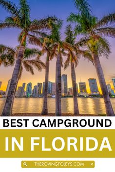 palm trees with the words best campground in florida overlayed by cityscape