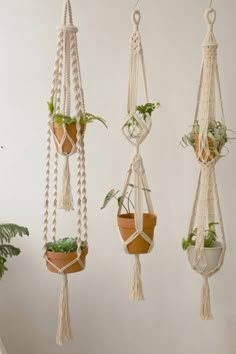 three macrame plant hangers with plants in them