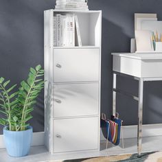 a white bookcase next to a potted plant and a desk with books on it