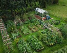 an aerial view of a garden with lots of plants