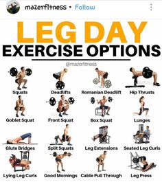 an image of a man doing exercises on his bench with the text leg day exercise options