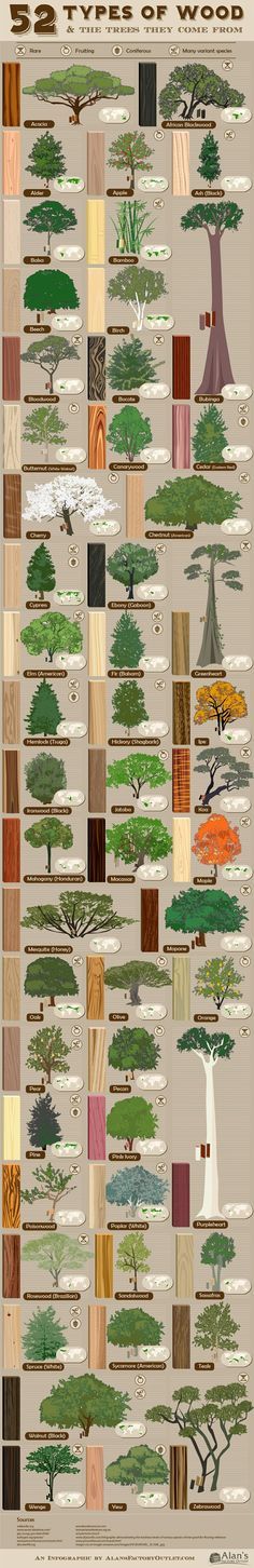 the different types of trees and their names