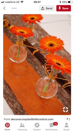 three clear vases with orange flowers in them