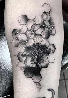 a black and white photo of a tree with an umbrella on its leg, in the shape of hexagons