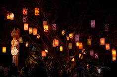 many lanterns are lit up in the dark