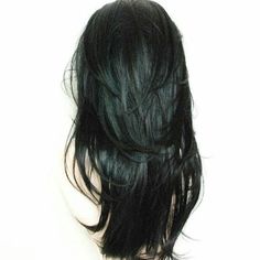 the back of a woman's head with black hair