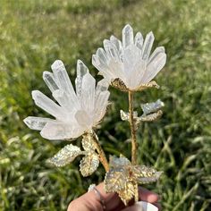 1PC Natural Crystal Flowers,quartz Flowers,clear Quartz,energy Crystal,mineral Specimen,home Decoration,reiki Healing,crystal Gifts 120g - Etsy Crystal Themed Wedding, Crystal Artwork, Crystal Cake Topper, Fantasy Dagger, Crystal Flowers, Quartz Color, Crystal Formations, Reiki Healing Crystals, Quartz Colors