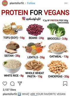 Healthy Vegan Recipes, High Protein Vegan Recipes, Plant Based Diet Recipes, High Protein Vegan, Protein Rich Foods