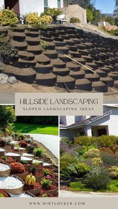 hillside landscaping with lots of plants and flowers