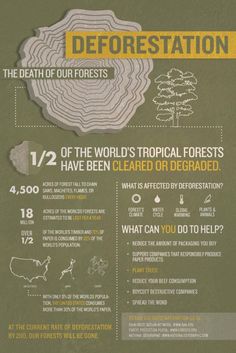 Deforestation Facts, Save Our Earth, Save Our Planet, Environmental Awareness, Environmental Issues