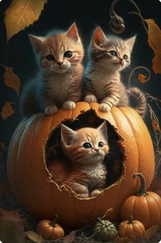 two kittens sitting on top of a pumpkin with their heads in the hole between them