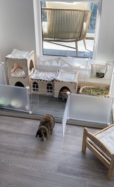 a cat is walking around in front of a dog house with its door open to the outside