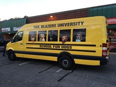 a yellow school bus with pictures of dogs on it's side in front of a store