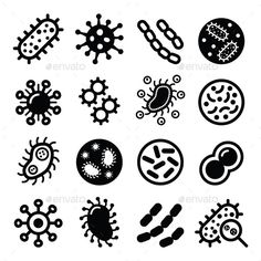 different colored germs on a white background