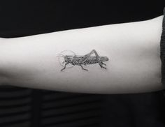 a small insect tattoo on the arm