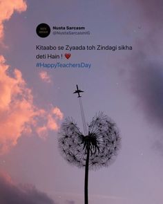 a dandelion with the words happy teachers day written on it and an airplane flying in the sky