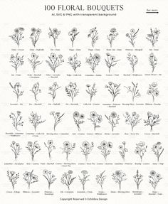 an image of flowers that are drawn in the style of floral bouquets on paper