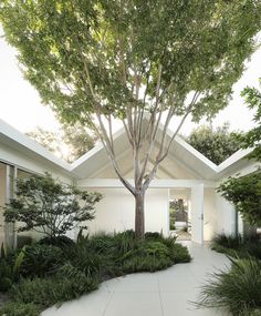 a white house with trees and plants in the front yard