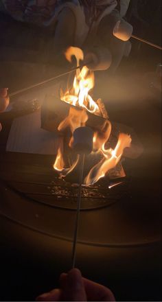 a person holding a stick over a fire pit